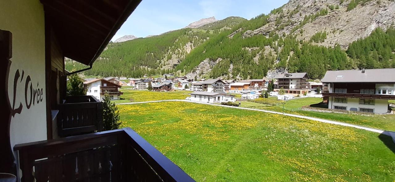 Free Cable Car & Bus In The Summer Haus L'Oree 사스그룬트 외부 사진
